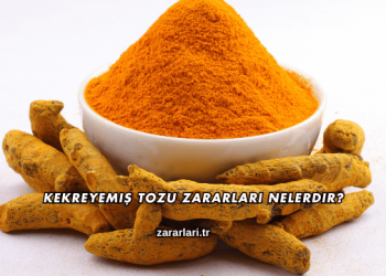 Kekreyemiş Tozu Zararları Nelerdir?