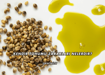 Kendir Tohumu Zararları Nelerdir?