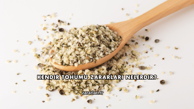 Kendir Tohumu Zararları Nelerdir?