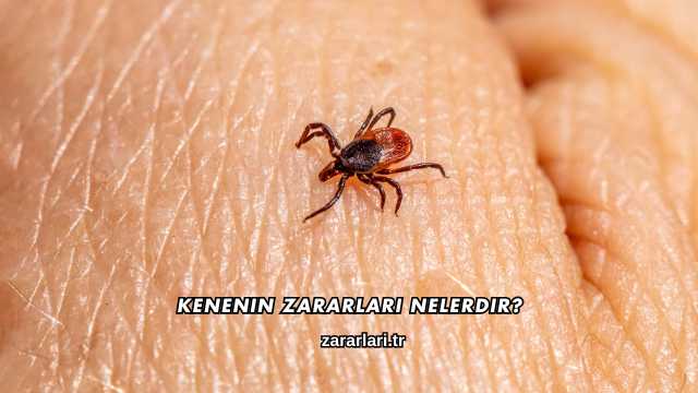 Kenenin Zararları Nelerdir?