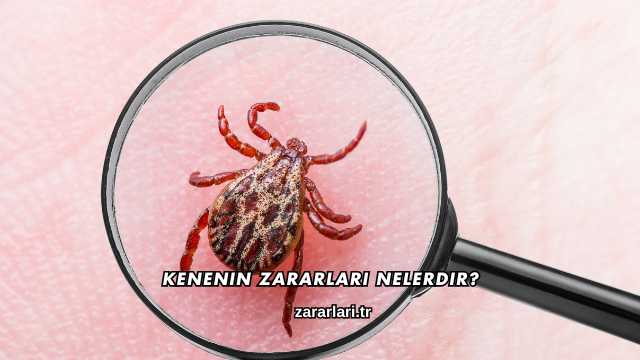Kenenin Zararları Nelerdir?