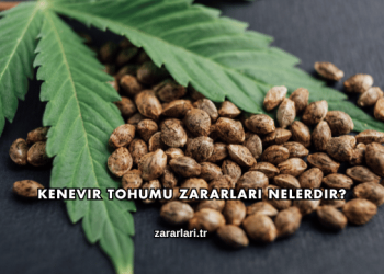 Kenevir Tohumu Zararları Nelerdir?