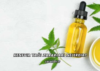 Kenevir Yağı Zararları Nelerdir?