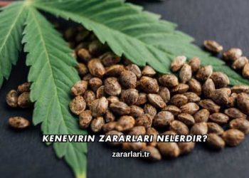 Kenevirin Zararları Nelerdir?