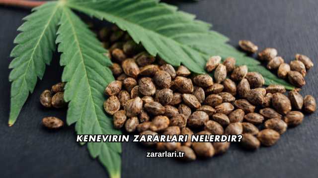 Kenevirin Zararları Nelerdir?