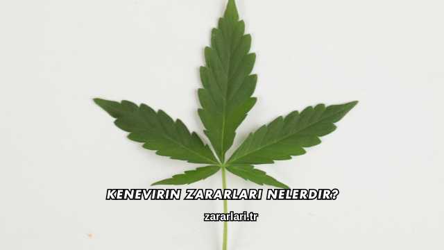 Kenevirin Zararları Nelerdir?