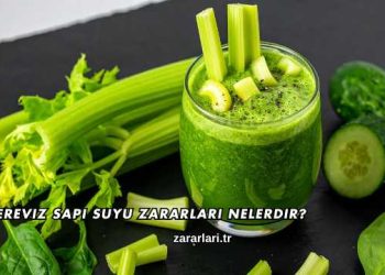 Kereviz Sapı Suyu Zararları Nelerdir?