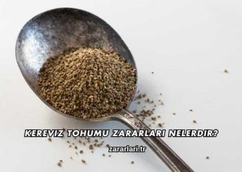 Kereviz Tohumu Zararları Nelerdir?