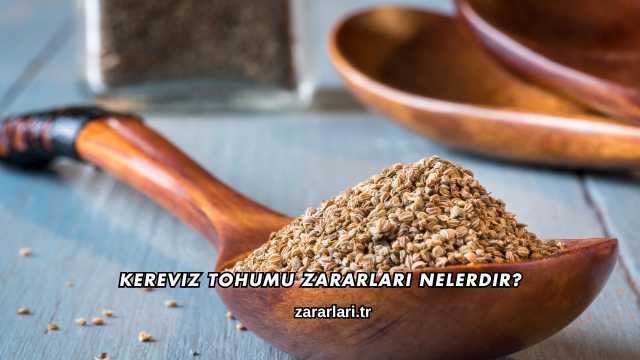 Kereviz Tohumu Zararları Nelerdir?