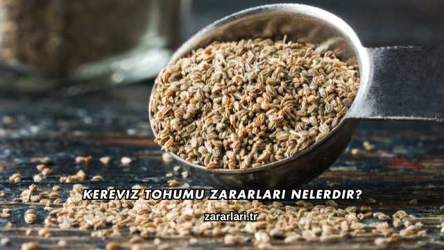 Kereviz Tohumu Zararları Nelerdir?
