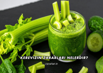 Kerevizin Zararları Nelerdir?