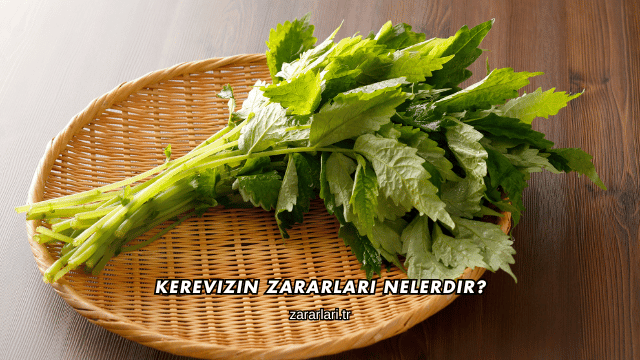 Kerevizin Zararları Nelerdir?