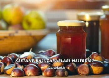 Kestane Balı Zararları Nelerdir?