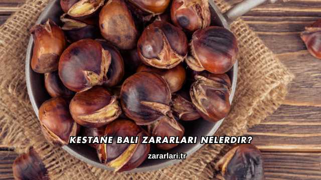 Kestane Balı Zararları Nelerdir?