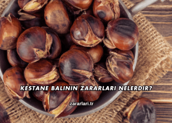 Kestane Balının Zararları Nelerdir?