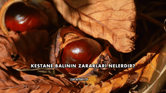 Kestane Balının Zararları Nelerdir?