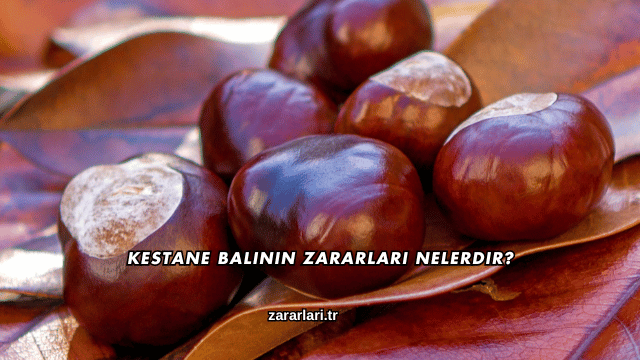 Kestane Balının Zararları Nelerdir?