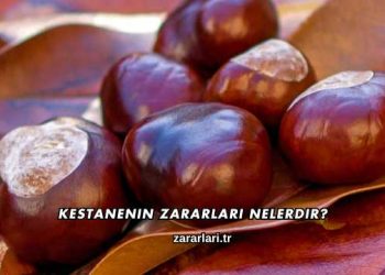 Kestanenin Zararları Nelerdir?