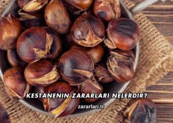 Kestanenin Zararları Nelerdir?