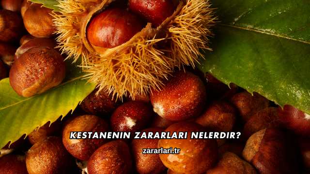 Kestanenin Zararları Nelerdir?