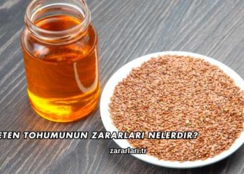 Keten Tohumunun Zararları Nelerdir?