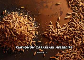 Kimyonun Zararları Nelerdir?