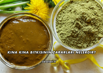 Kına Kına Bitkisinin Zararları Nelerdir?