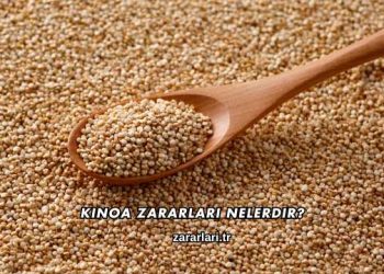 Kinoa Zararları Nelerdir?
