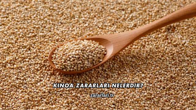 Kinoa Zararları Nelerdir?