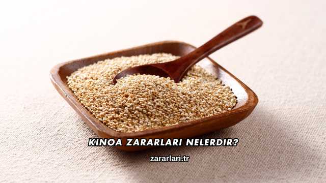 Kinoa Zararları Nelerdir?