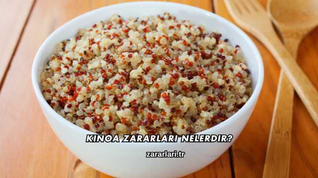 Kinoa Zararları Nelerdir?