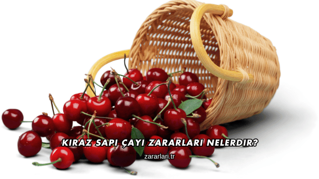 Kiraz Sapı Çayı Zararları Nelerdir?