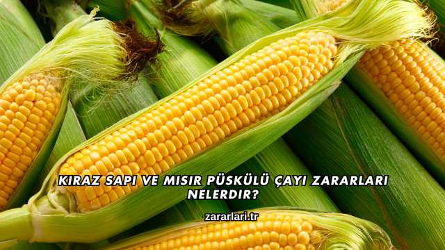 Kiraz Sapı ve Mısır Püskülü Çayı Zararları Nelerdir?
