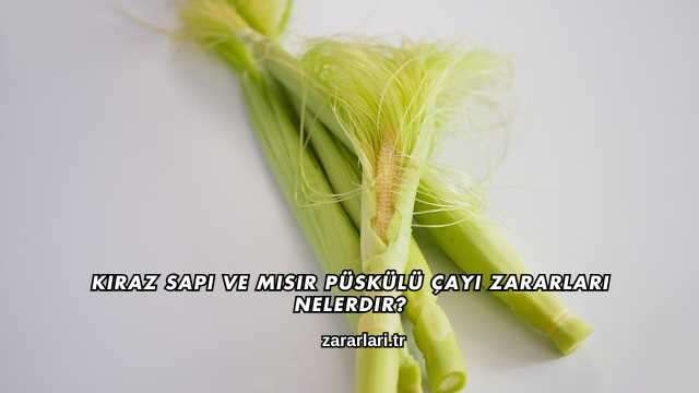 Kiraz Sapı ve Mısır Püskülü Çayı Zararları Nelerdir?