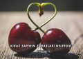 Kiraz Sapının Zararları Nelerdir?