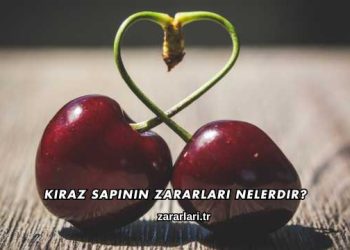 Kiraz Sapının Zararları Nelerdir?