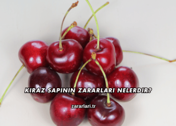 Kiraz Sapının Zararları Nelerdir?