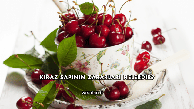 Kiraz Sapının Zararları Nelerdir?