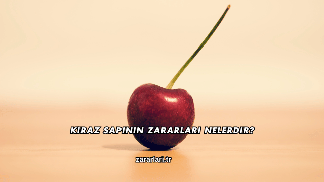 Kiraz Sapının Zararları Nelerdir?