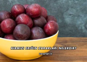 Kırmızı Eriğin Zararları Nelerdir?