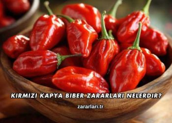 Kırmızı Kapya Biber Zararları Nelerdir?