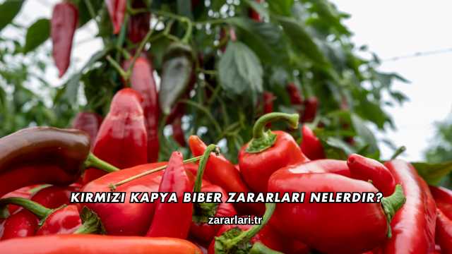 Kırmızı Kapya Biber Zararları Nelerdir?