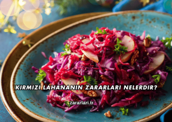 Kırmızı Lahananın Zararları Nelerdir?