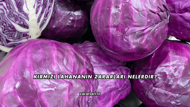 Kırmızı Lahananın Zararları Nelerdir?