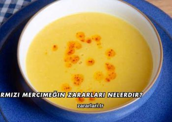 Kırmızı Mercimeğin Zararları Nelerdir?