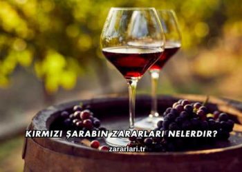 Kırmızı Şarabın Zararları Nelerdir?