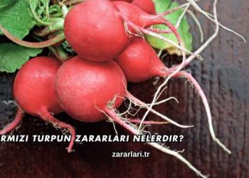 Kırmızı Turpun Zararları Nelerdir?