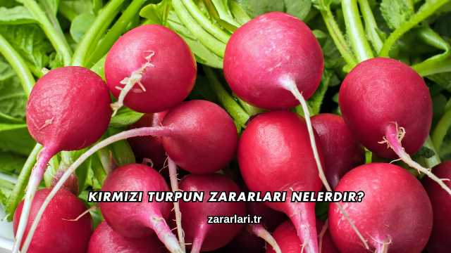 Kırmızı Turpun Zararları Nelerdir?