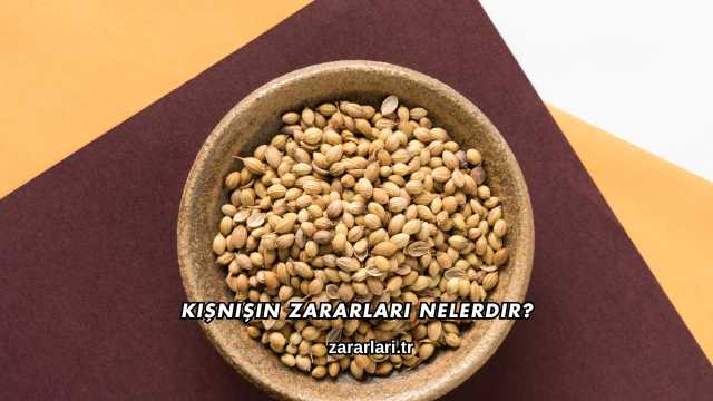 Kişnişin Zararları Nelerdir?