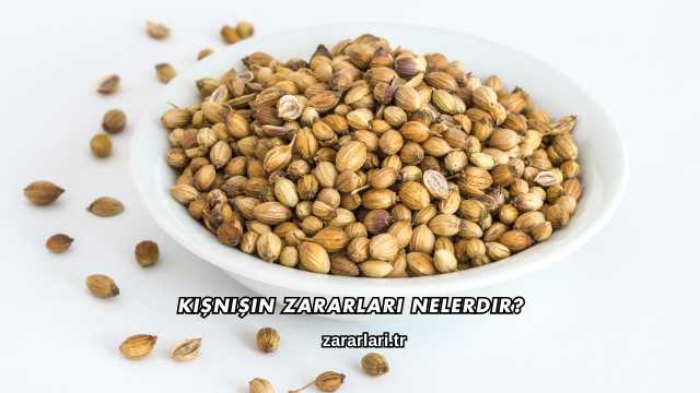 Kişnişin Zararları Nelerdir?